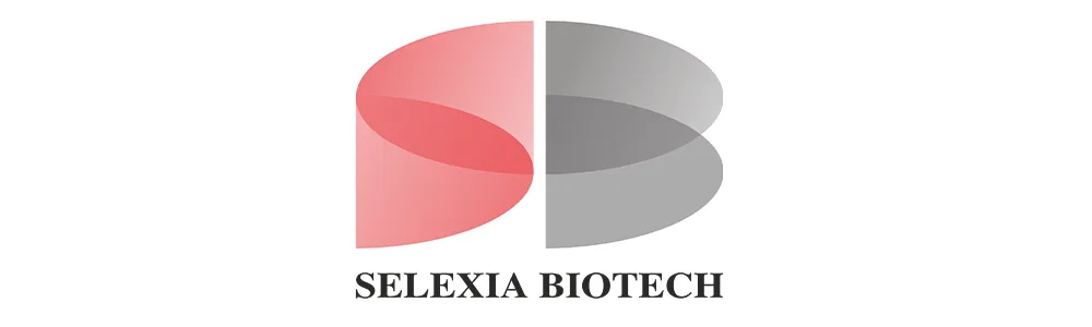 logo16