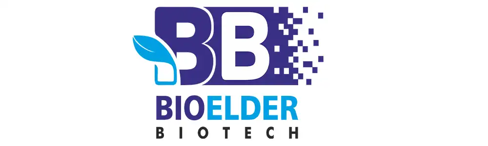 logo21